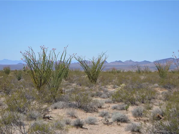 207-17 Cortaro Rd #199, Yucca, AZ 86438