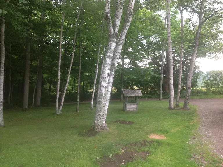 5 E Gulch Rd — Photo 3