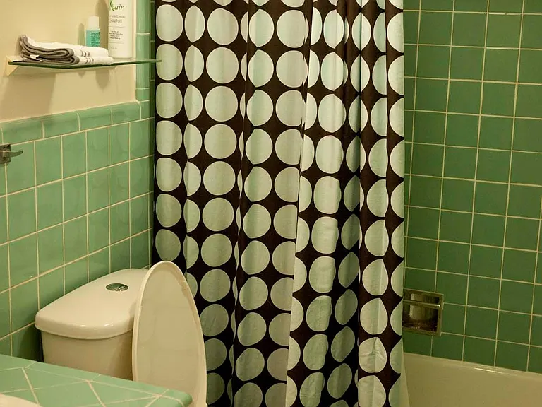 4007 Saint Charles Ave #214 — Photo 16