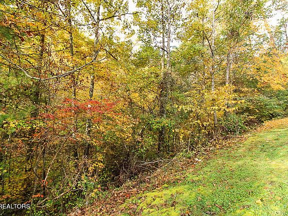 5th image of 85 Smoky Cove Rd Lot 85
