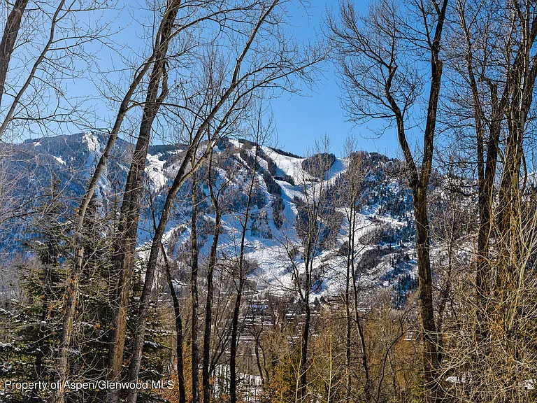 1036 Red Mountain Rd — Photo 22
