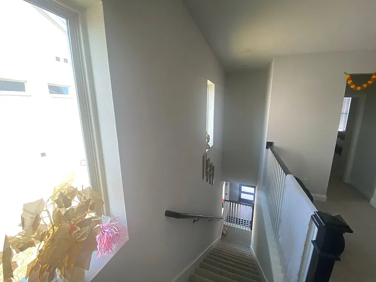 4716 Corriente Vista Ln — Photo 8