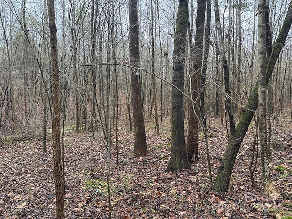 2nd image of 0 Ramseur Dr