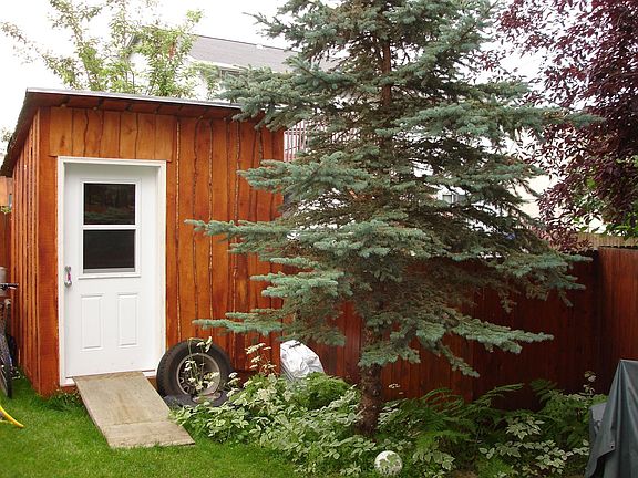 Garden Shed