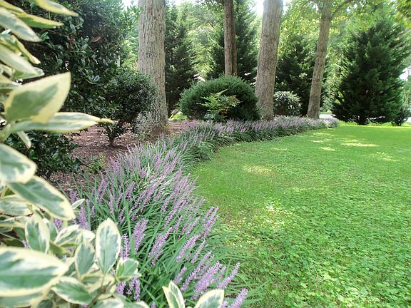 Close up of flower bed.