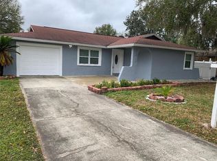 5212 Landsman Ave, Tampa, FL 33625