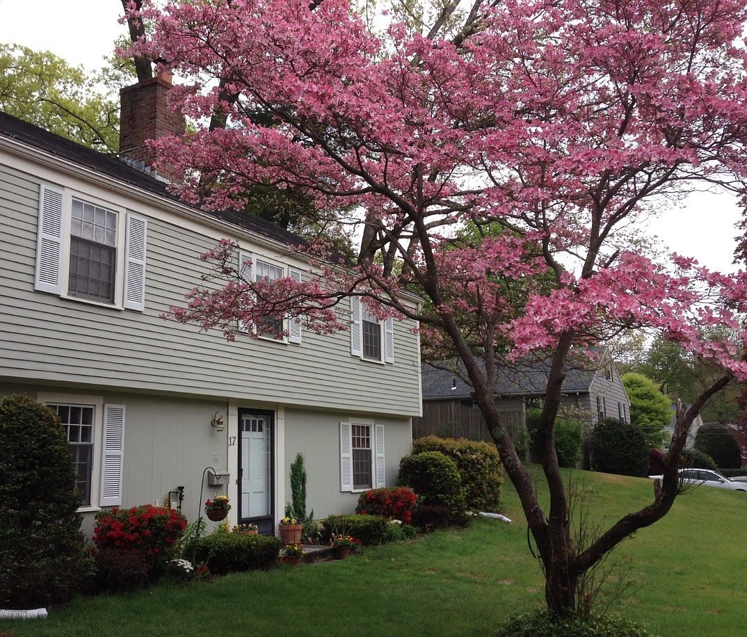 17 Longbow Cir, Lynnfield, MA 01940 Zillow