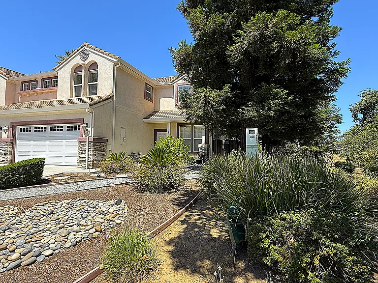 Front Yard