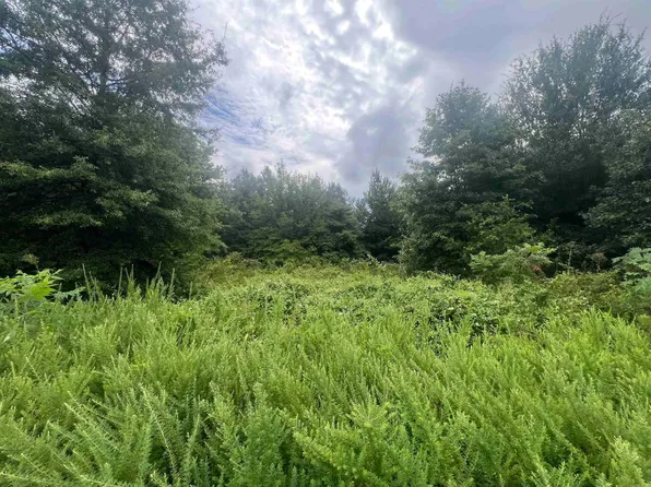 88 1661st Rd, Corning, AR 72422