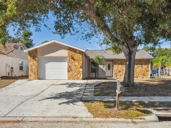 11321 Blackbark Dr, Riverview, FL 33579