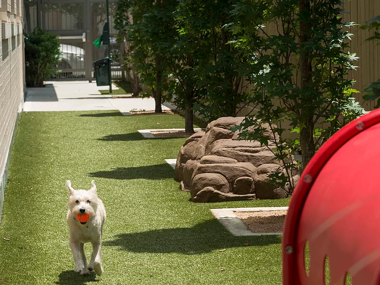 Private Dog Park