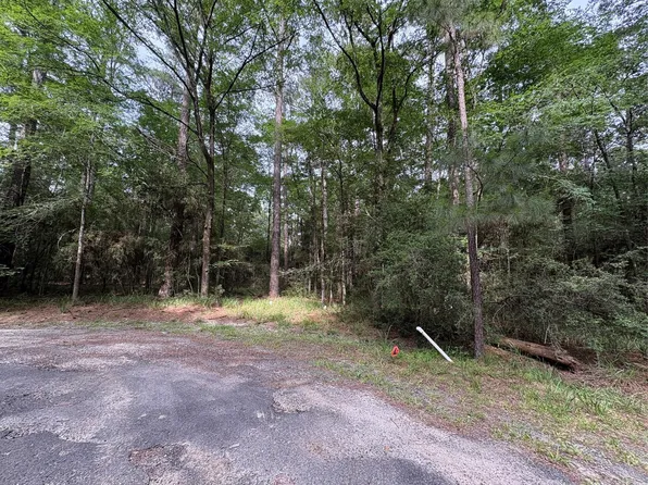 Clear Spgs Lot 7, Trinity, TX 75862