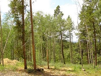 2nd image of 181 Valley View