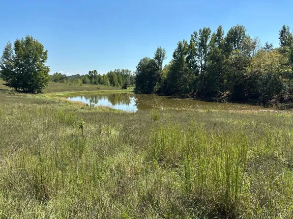 Pine Hill Rd, Dover, AR 72837