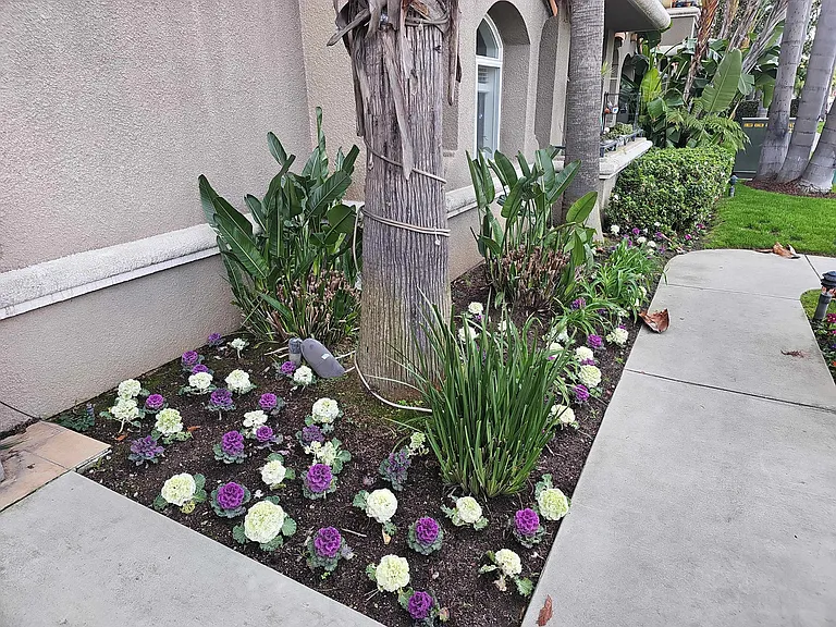 Sawtelle Blvd — Photo 2