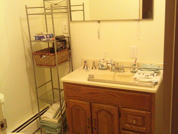 Master bedrooms bathroom