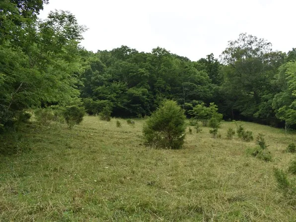 0 Toetown Rd, Pleasant Shade, TN 37145