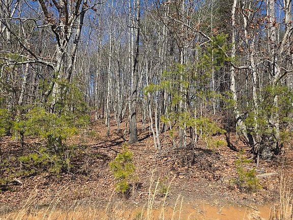 4th image of 4899 Teague Town Rd