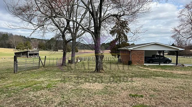 6_03042025