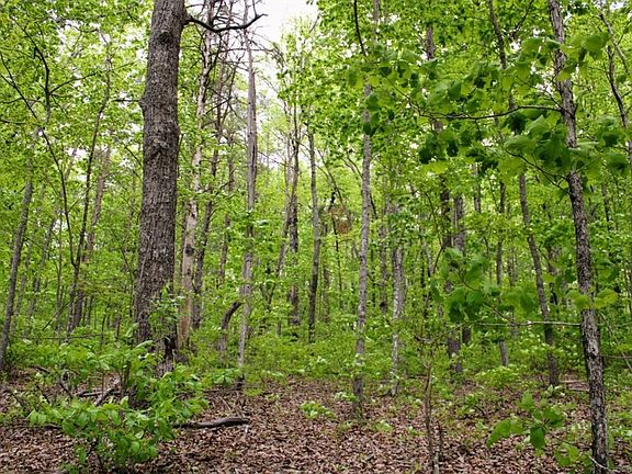 3rd image of 0 Gray Creek Rd Lot 22