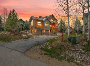 56 Canyon View Ct, Dillon, CO 80435