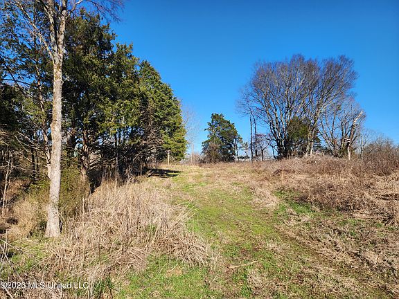 4th image of 3736 Wyatte Tyro Rd