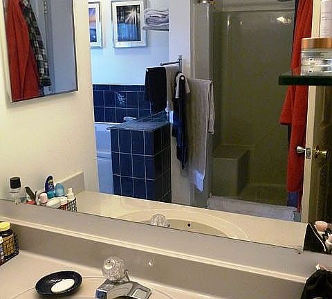 Sink/shower in master bath