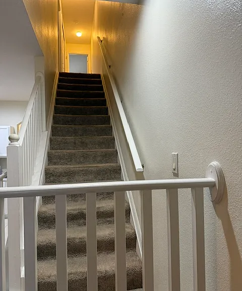 6729 Lake Rochester Ln — Photo 19