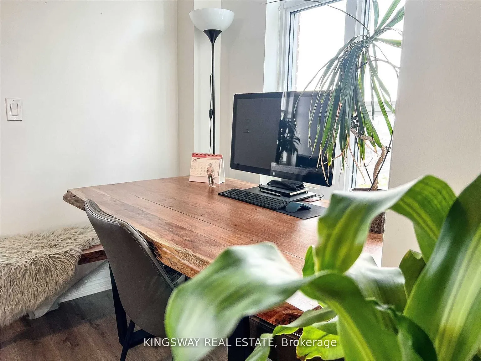 3 bed, $3,700 — Photo 3