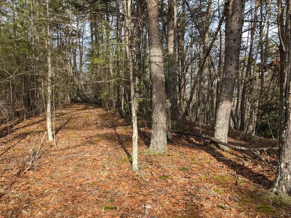 13 Snipe Hollow Ln, Warne, NC 28909