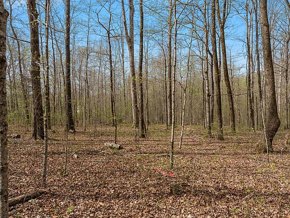 2nd image of 0 Natchez Trace Rd