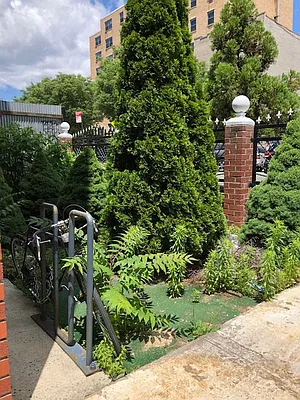 Rented by Lang Realty LLC | media 22