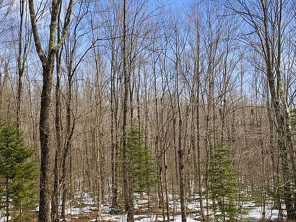 2nd image of 4378 N Kimmear Rd