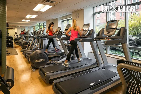 Rented by Citi Habitats | media 9