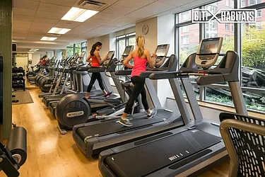 Rented by Citi Habitats