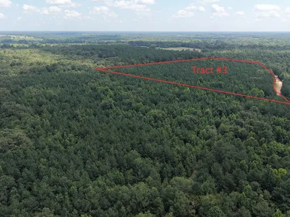 TRACT 3 County Road 4320, De Kalb, TX 75559