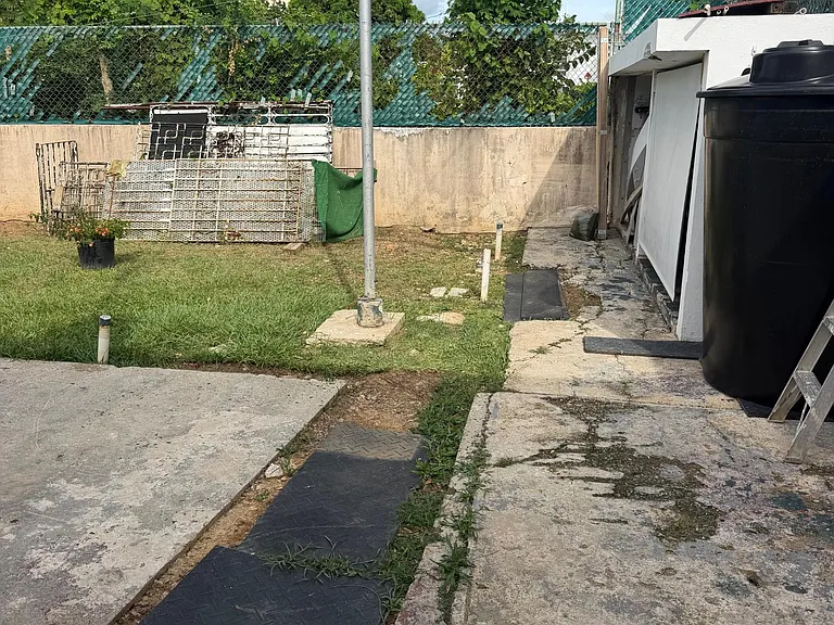66 Crisalida #66 — Photo 23