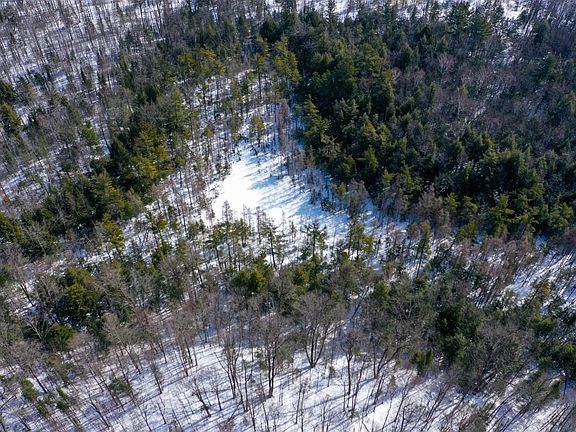 5th image of Emil Dr