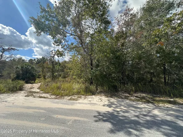 0 Dusky Warbler Rd, Weeki Wachee, FL 34614