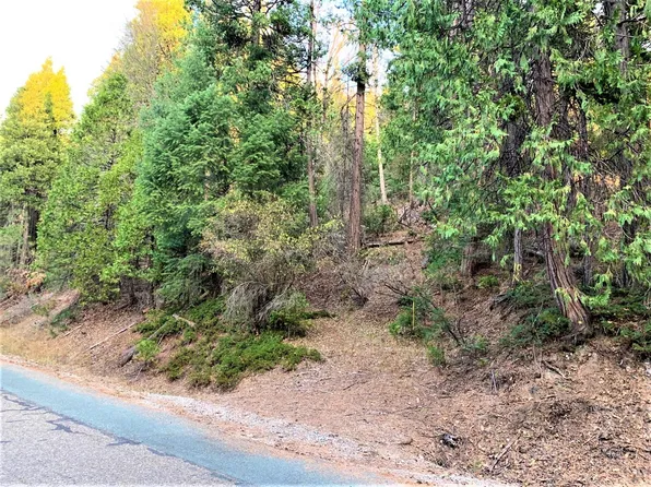 1883 Lily Valley Cir, West Point, CA 95255