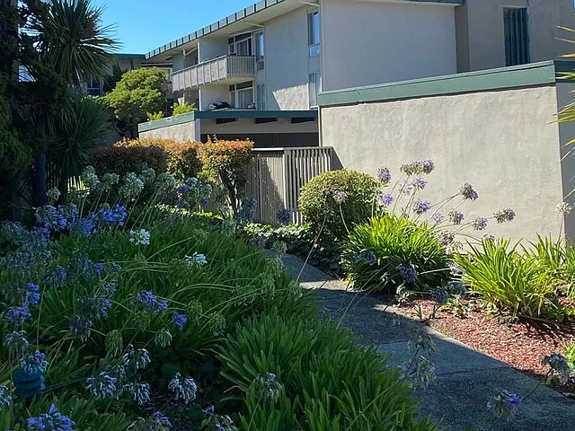 Tradewind Surf Apartments — Photo 8