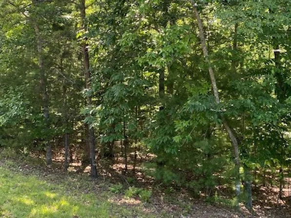 Quail Cove Ln, Brasstown, NC 28902