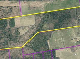 373 Brandy Brook Rd, Ellenburg Center, NY 12934