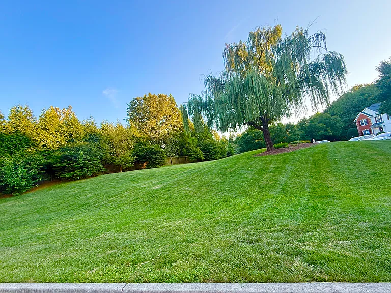 11305 Abbots Cross Ln — Photo 11