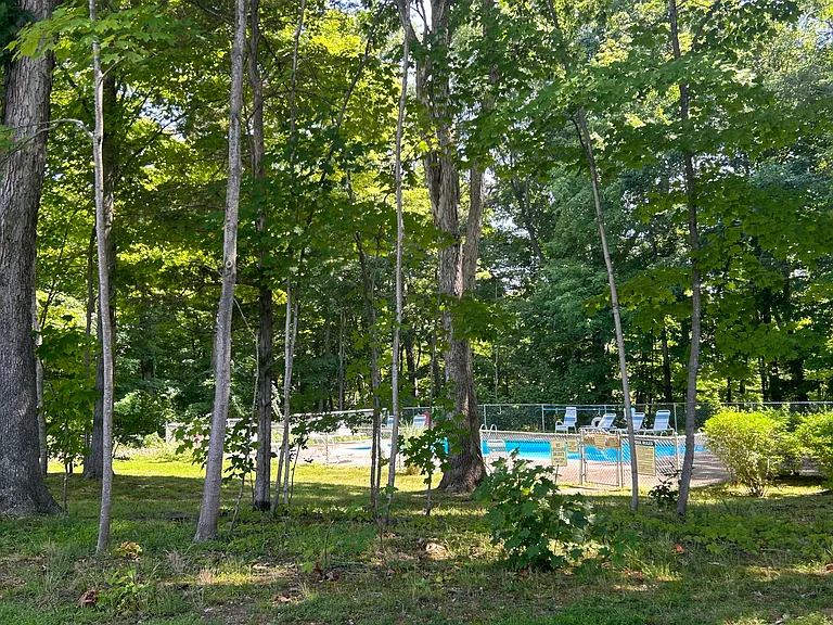 84 Granite Rd — Photo 19