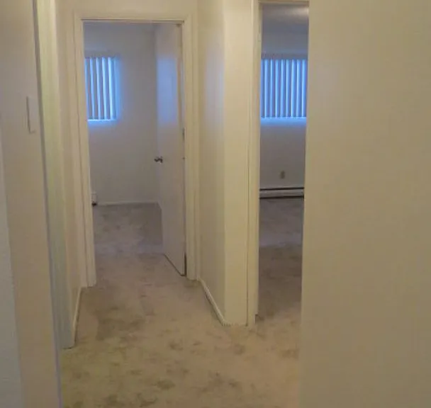 Forest View Apartments — Photo 9