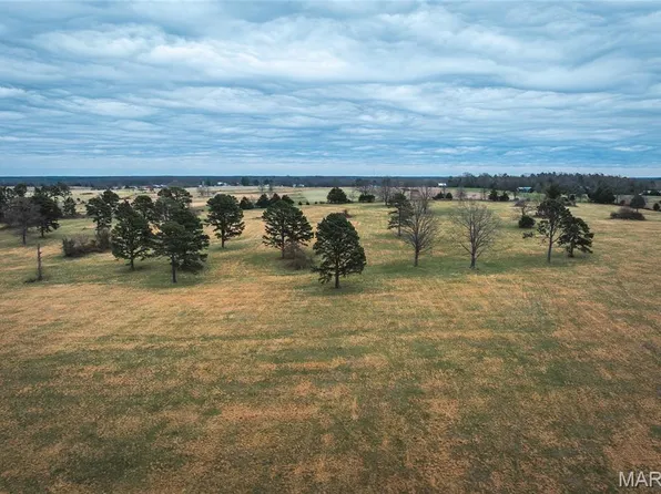 Dewitt Dr, Hartshorn, MO 65479