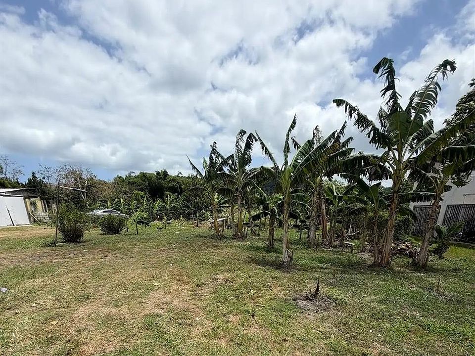 1st image of Bo Limones