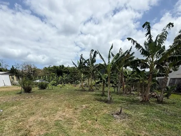 Bo Limones, Yabucoa, PR 00767