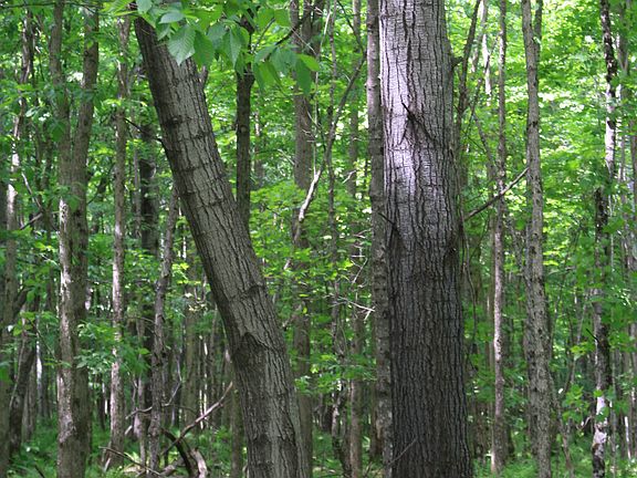 3rd image of Tbd Skyline River's Edge